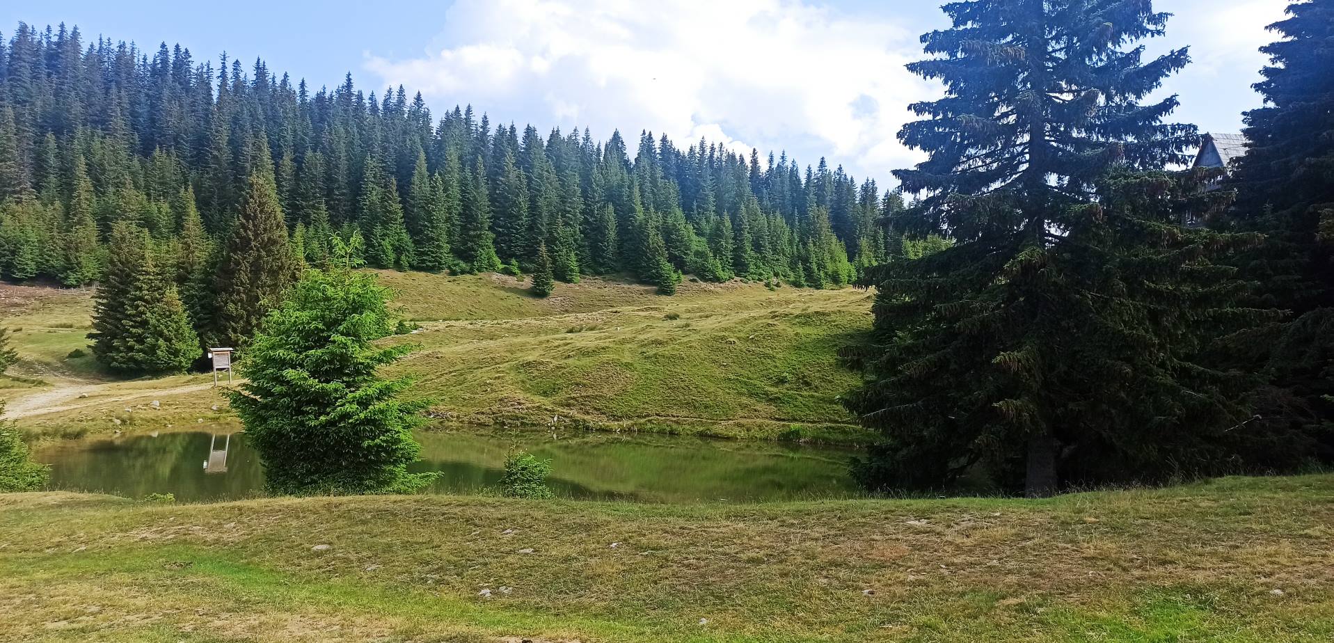 Слика 1