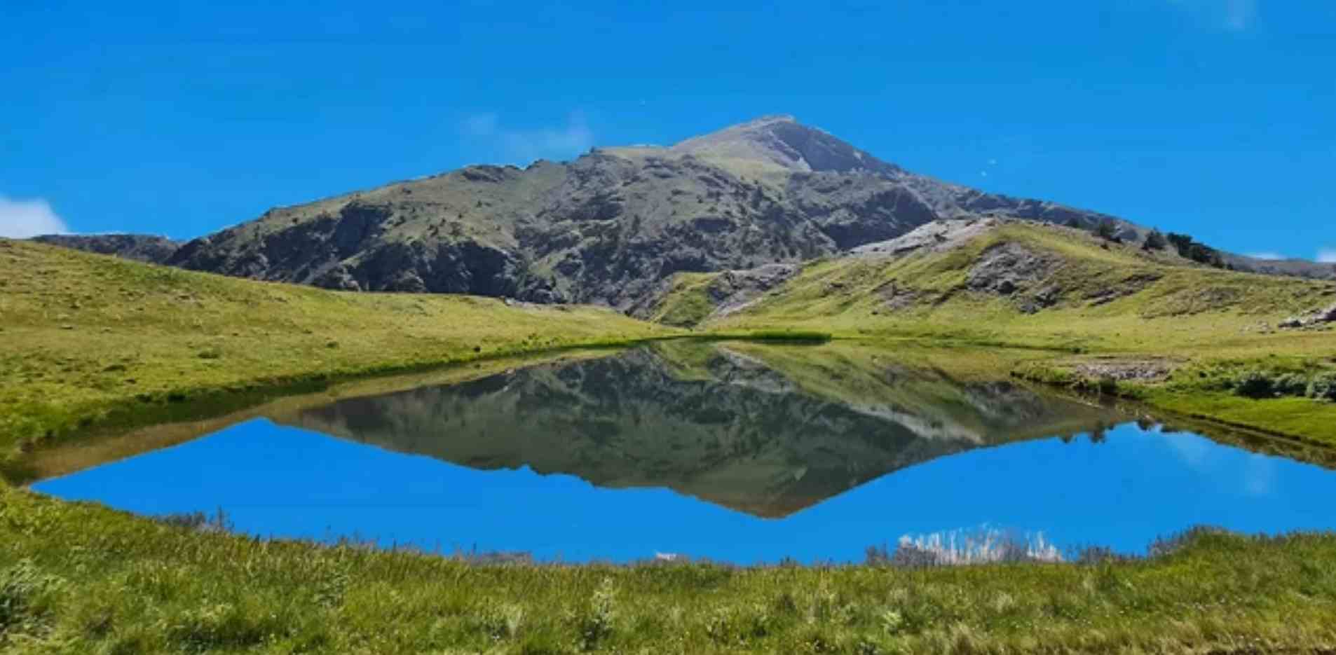 Слика 1